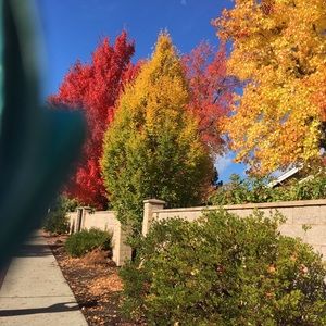 Meet your Posher, Maryam